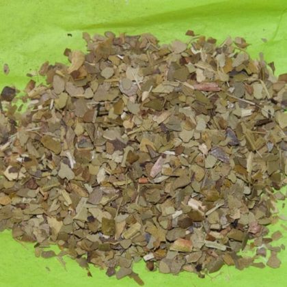 Yerba Mate