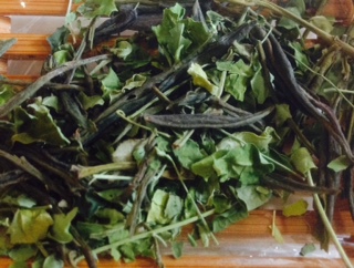 Moringa Dragon tea leaves