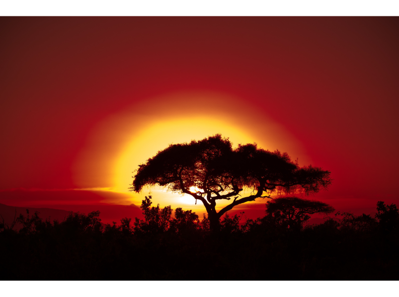 African Corner